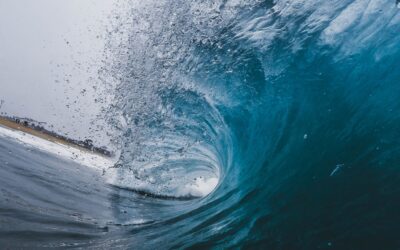 Harnessing Wave Energy