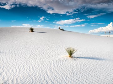 New Mexico’s White Sands National Park Is Otherworldly